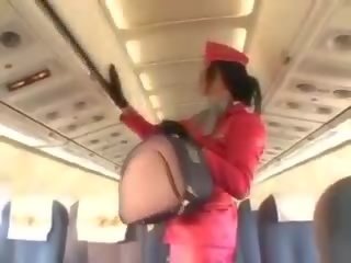 Enticing стюардеса смокче putz до кунілінгус