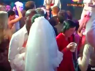 Magnificent vášnivý brides sát velký kohouty v veřejné