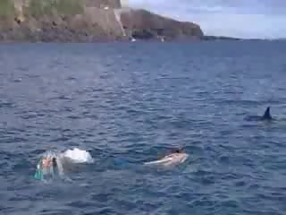Seks wideo pod woda film